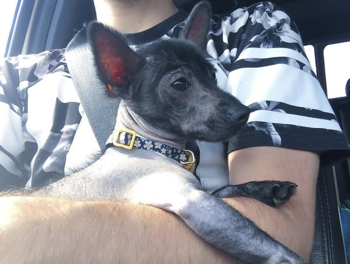 Logan