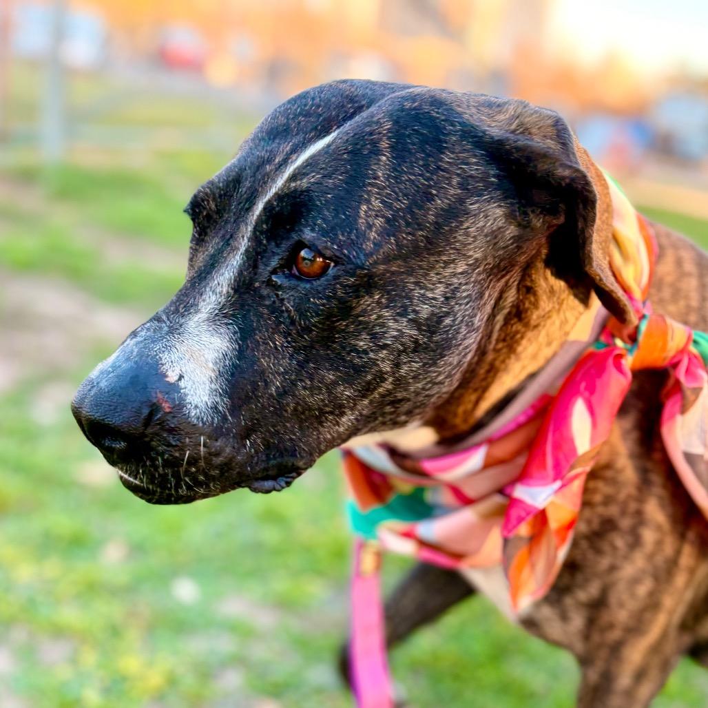 Cookie Cuddles — thumbnail 2