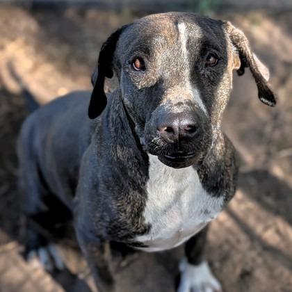 Cookie Cuddles — thumbnail 3