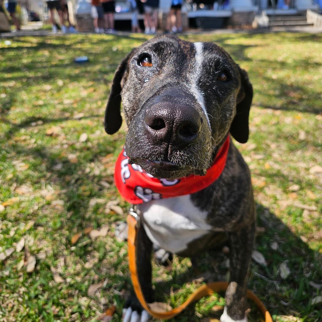 Cookie Cuddles — thumbnail 5