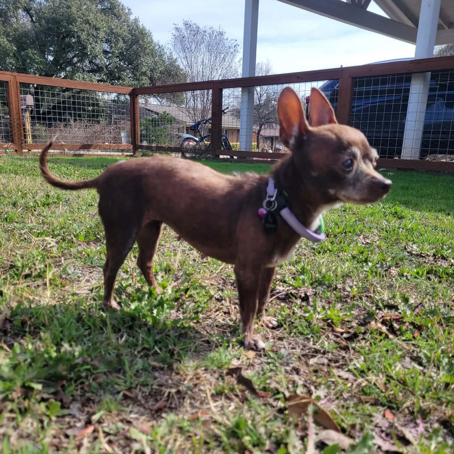 Delia — thumbnail 4