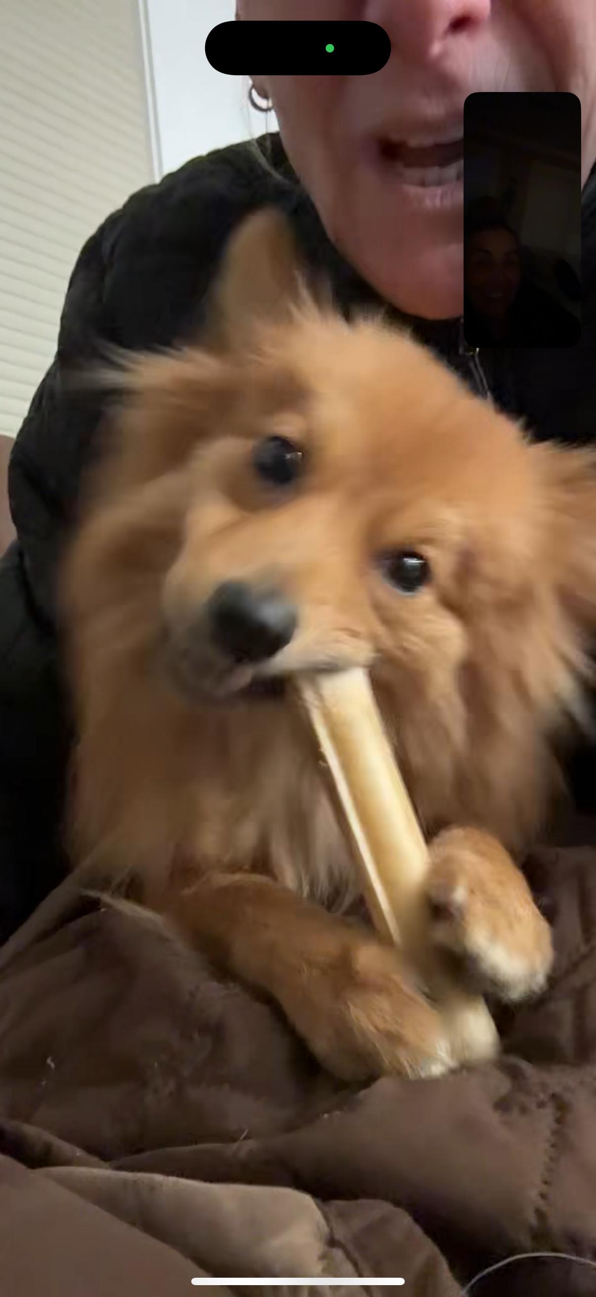 Mr. Fluffy Jimmy thumbnail 6