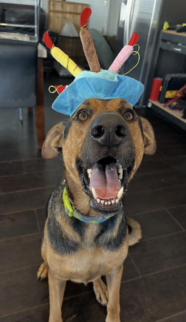 Tucker — thumbnail 2