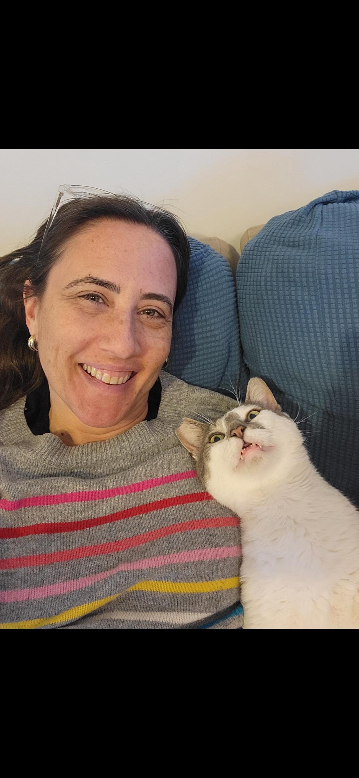 Enlarge KitKat, a ADOPTABLE Domestic Short Hair in South Ozone Park, NY image 6/6