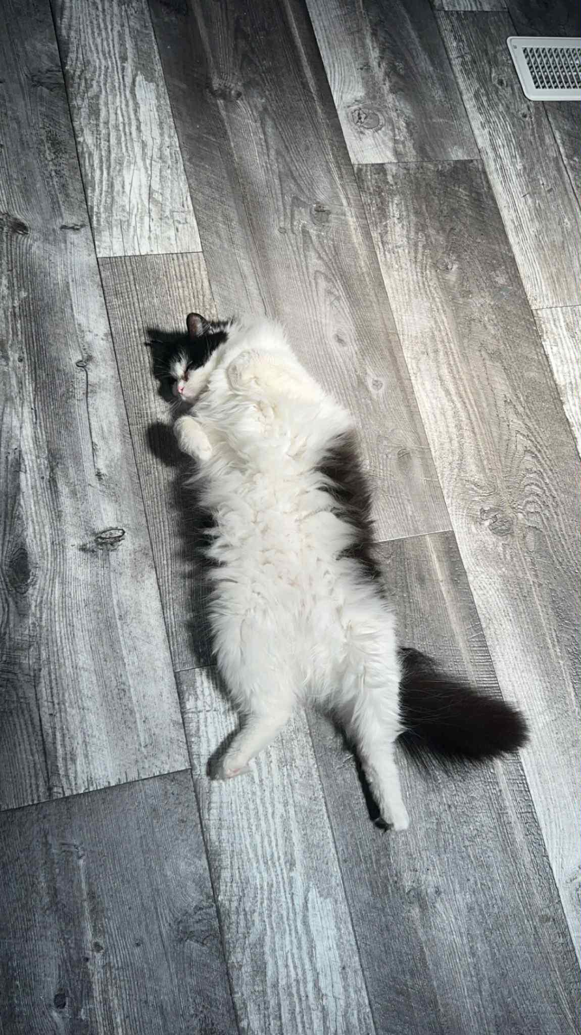 Ellie