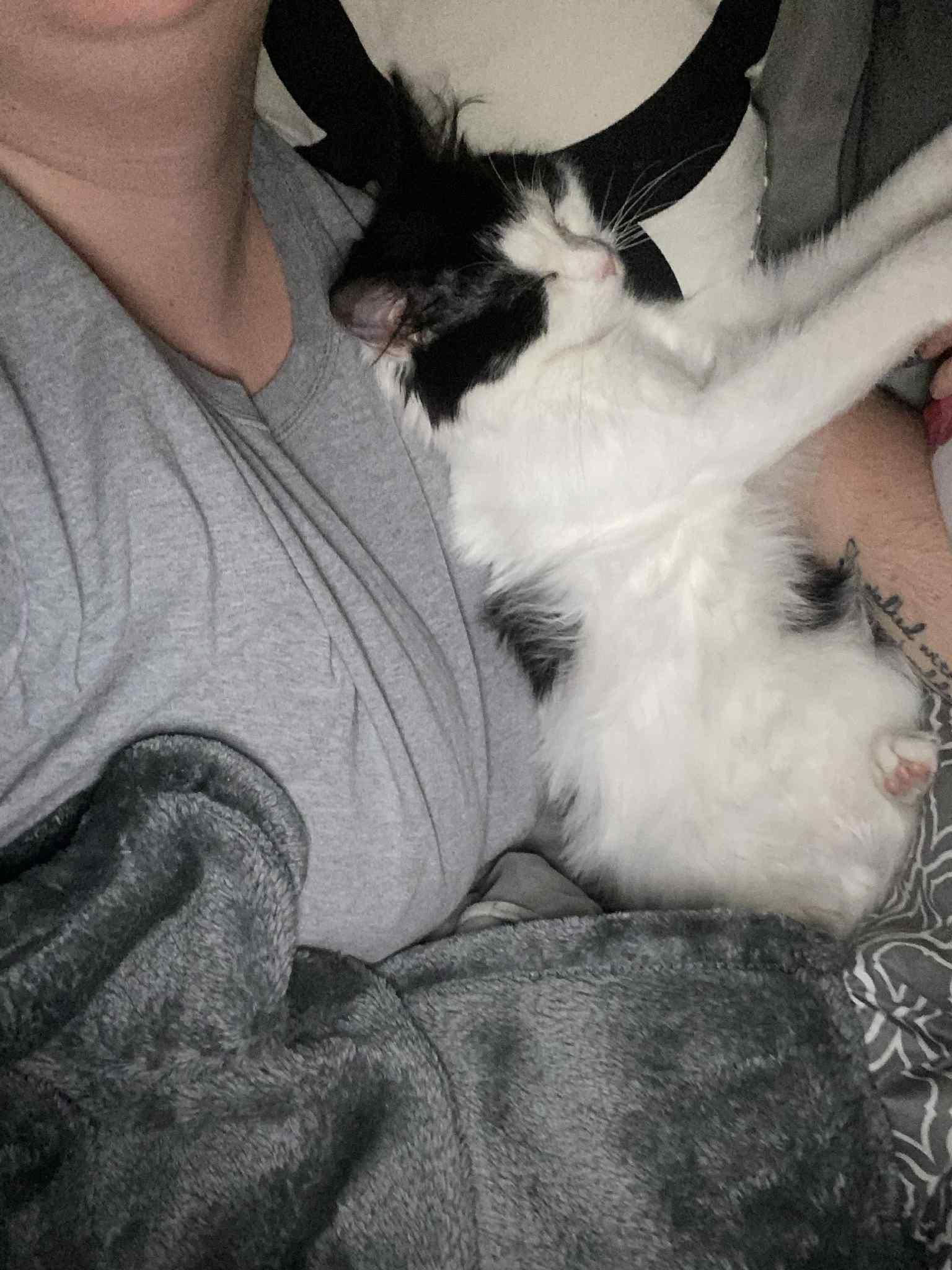 Ellie