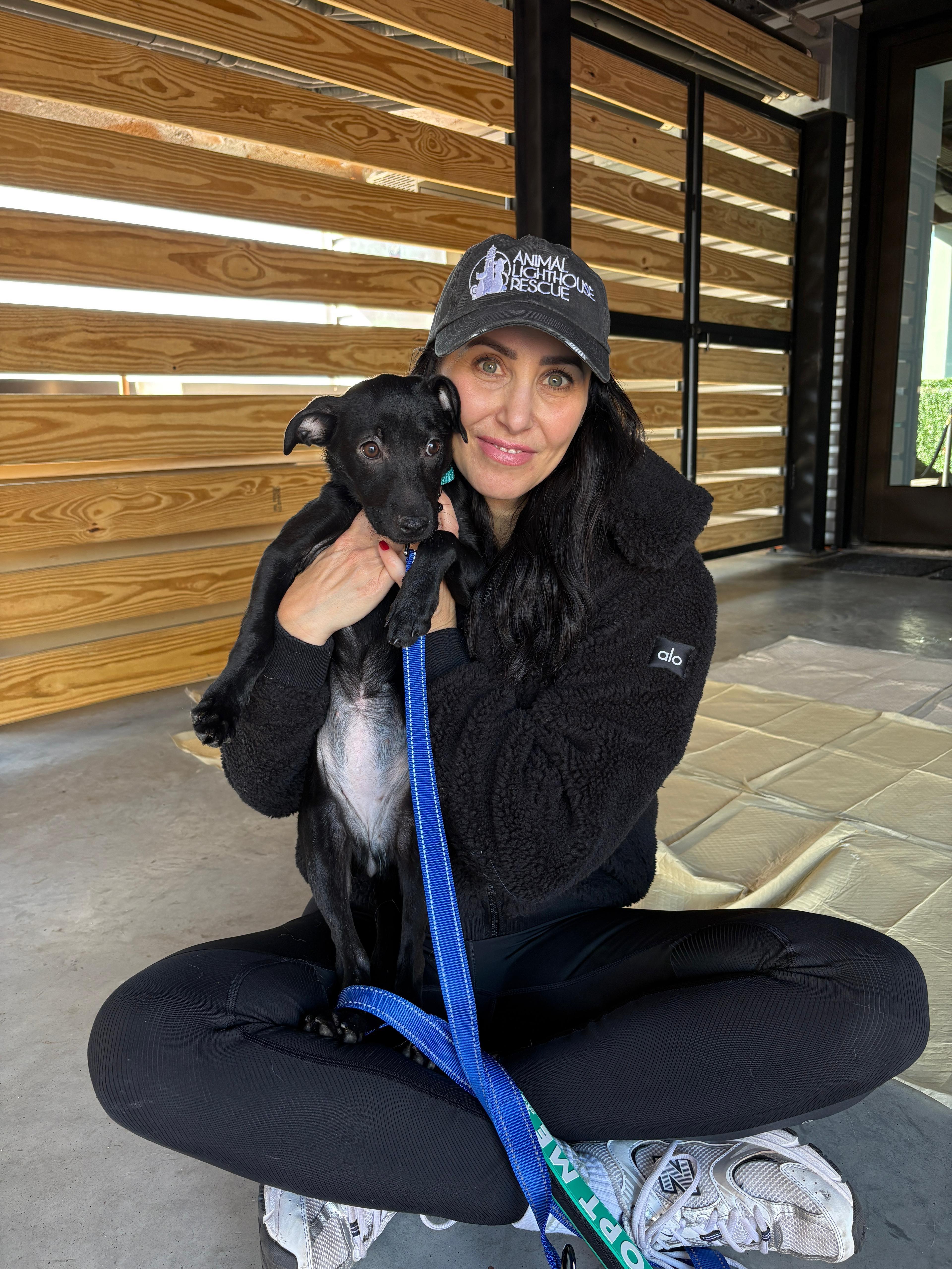 Enlarge Emmie, a Adopted mixed breed in New York, NY image 2/6