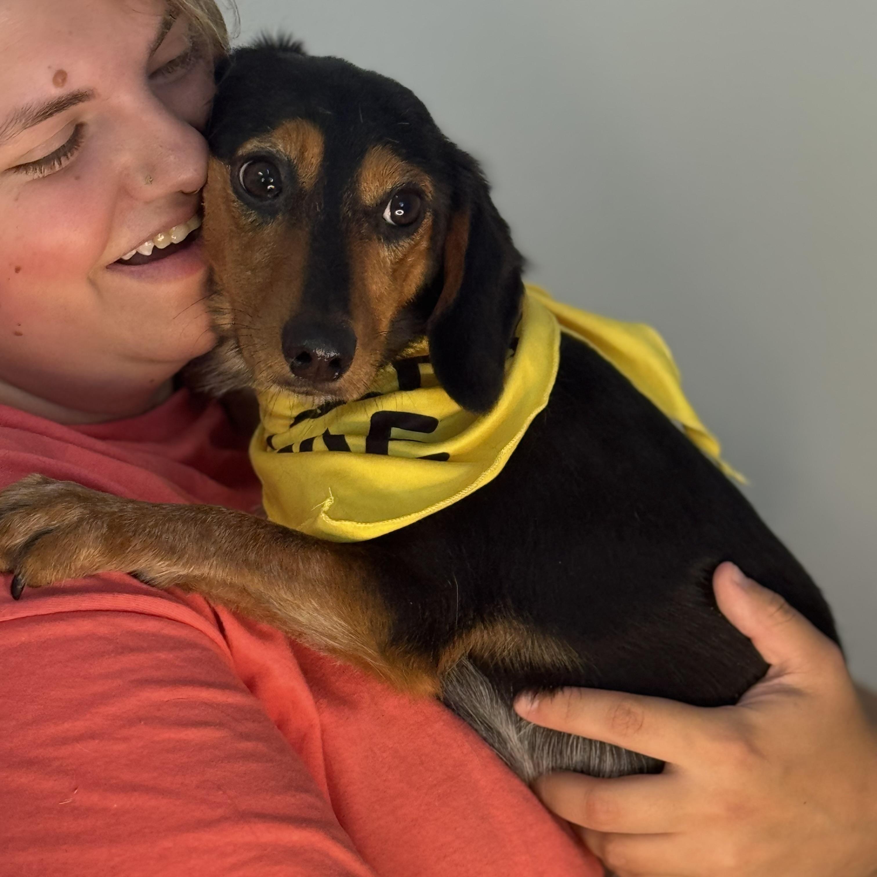 Salty Dog, a ADOPTABLE mixed breed in Richmond, VA image 5/6