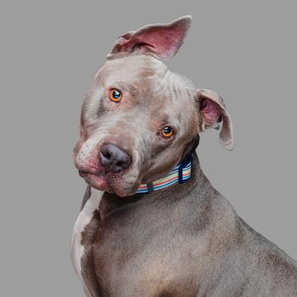 Becky — thumbnail 2