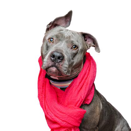 Becky — thumbnail 3