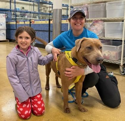 Enlarge Nelson, a Adoptable mixed breed in Savannah, GA image 1/3