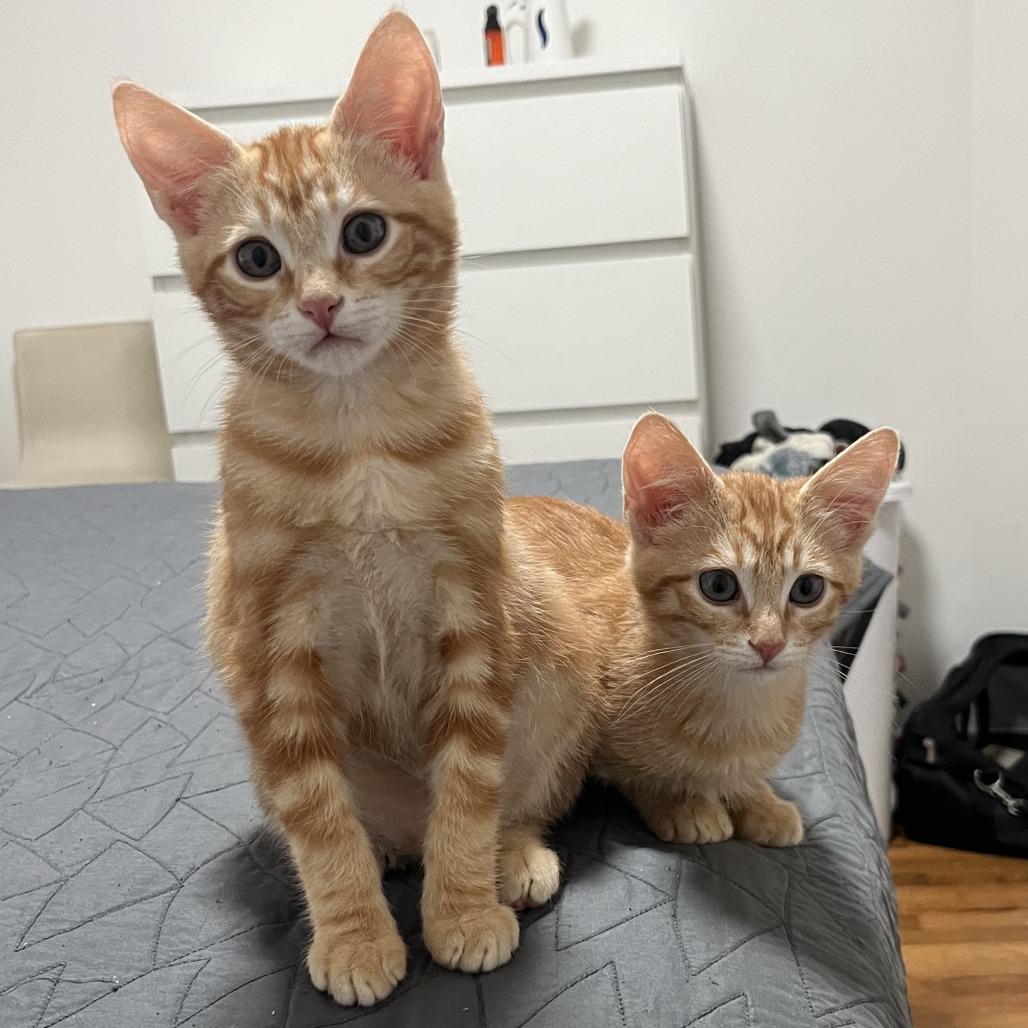 Captain Kramer — thumbnail 3