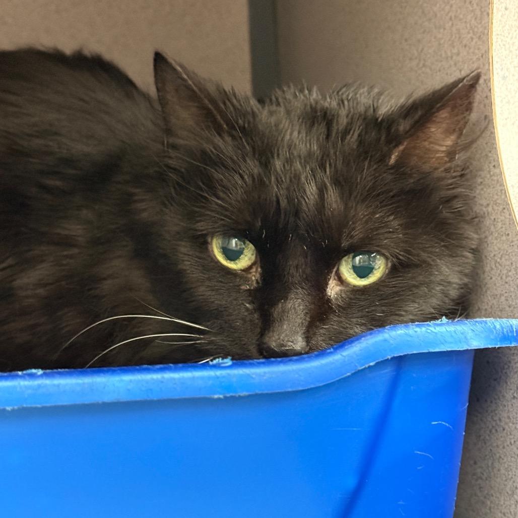 Della — thumbnail 2