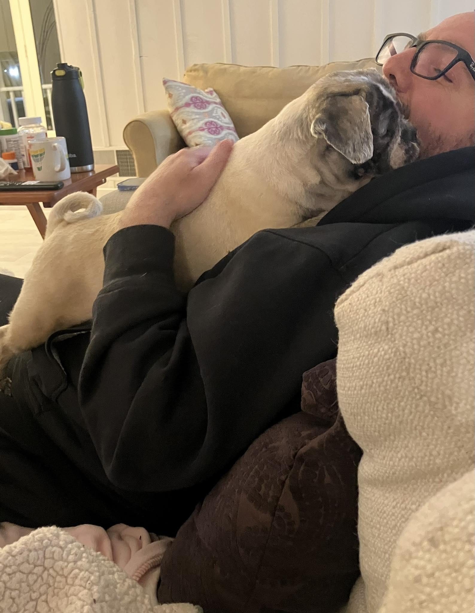 Mikey - BLIND, a Adoptable mixed breed in Holland, MI image 3/4