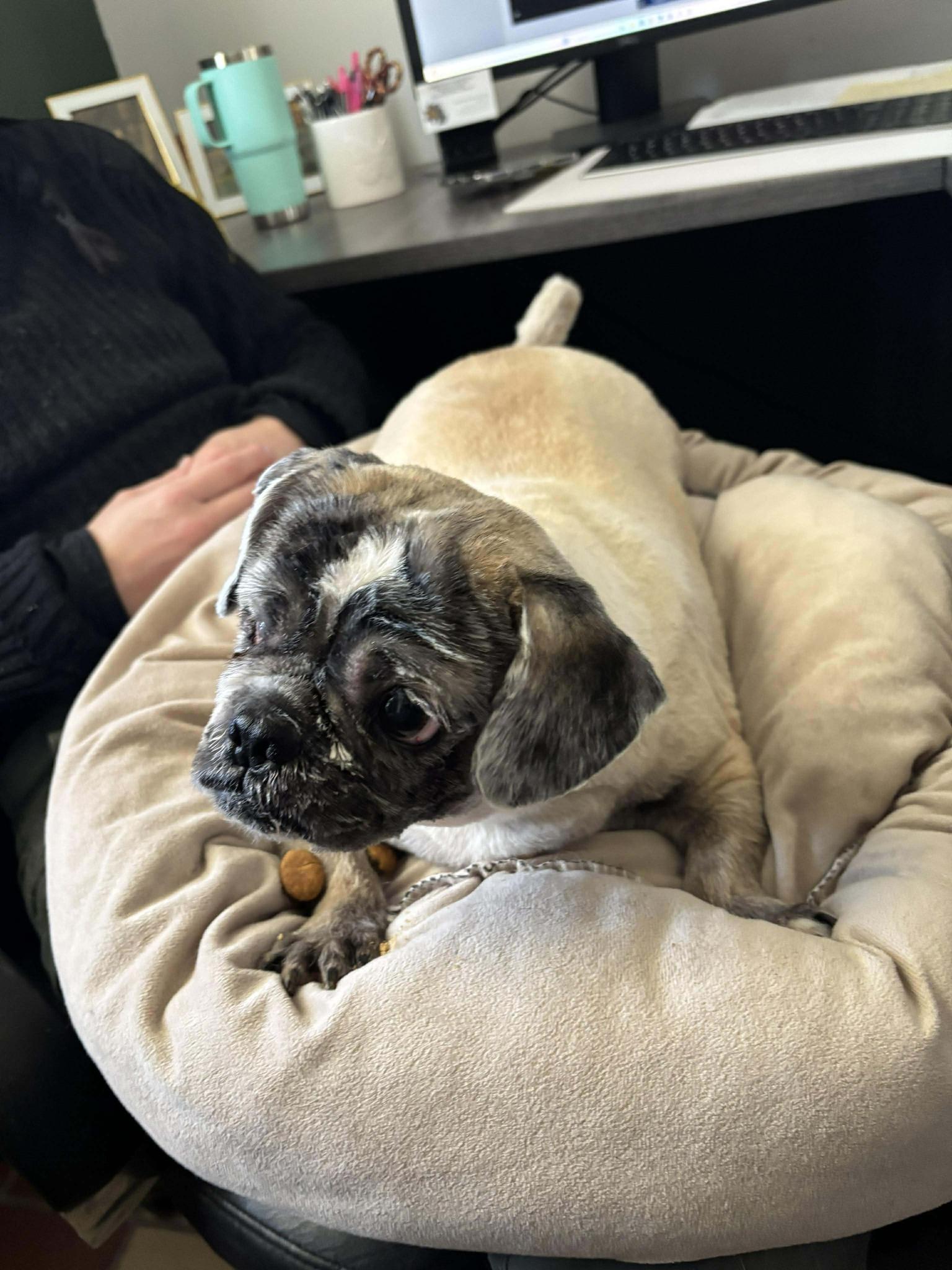 Mikey  Blind thumbnail 2