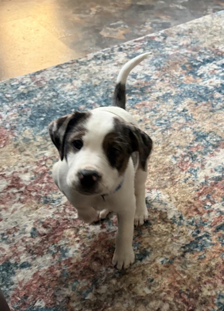 Davy — thumbnail 2