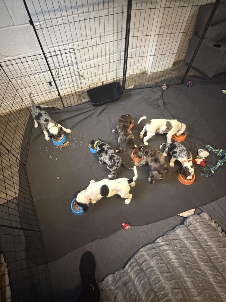 Davy — thumbnail 3