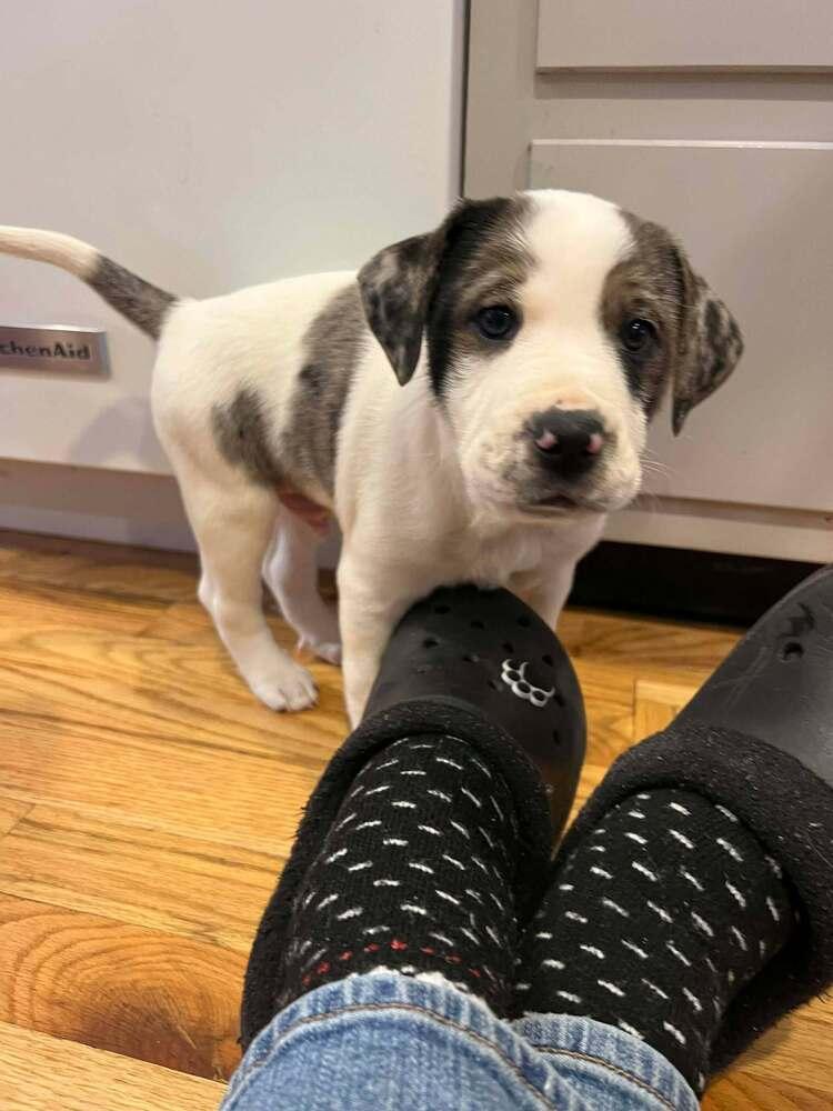 Davy — thumbnail 5