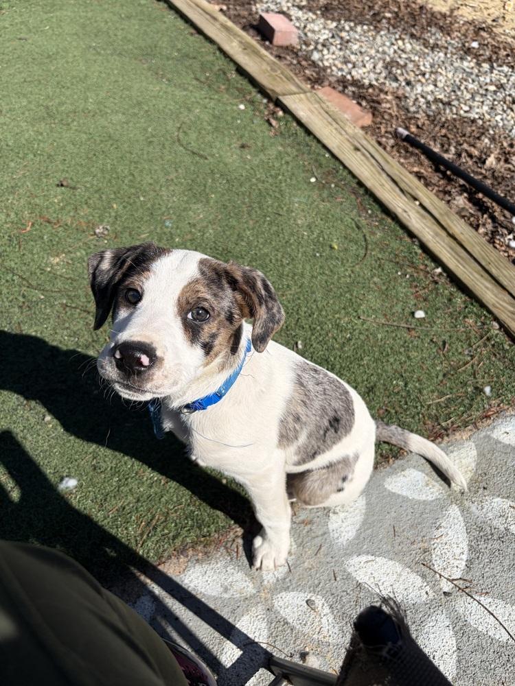 Davy — thumbnail 6