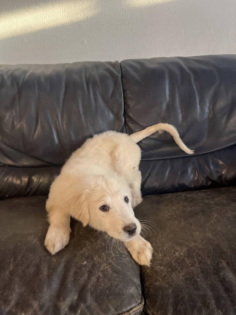 Mitch — thumbnail 4