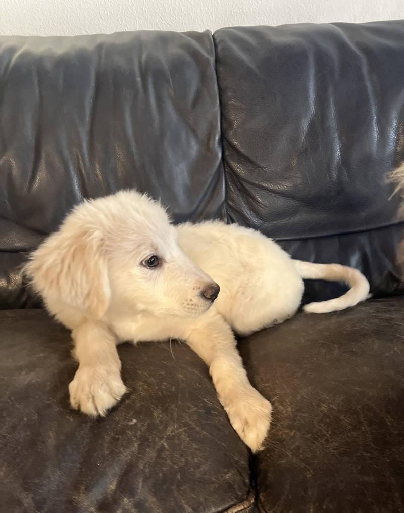 Mitch — thumbnail 5