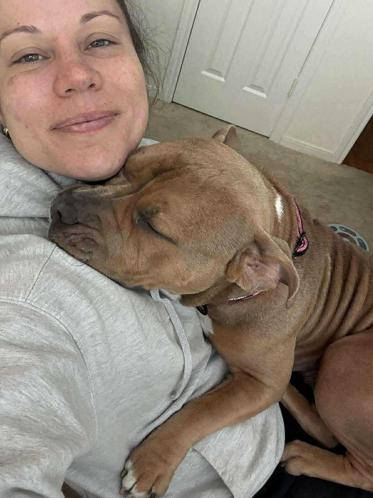 Riley, an adoptable Pit Bull Terrier in Vassalboro, ME, 04989 | Photo Image 4