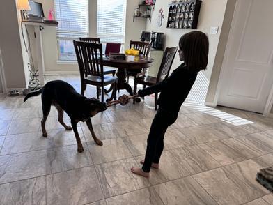 Finn — thumbnail 6