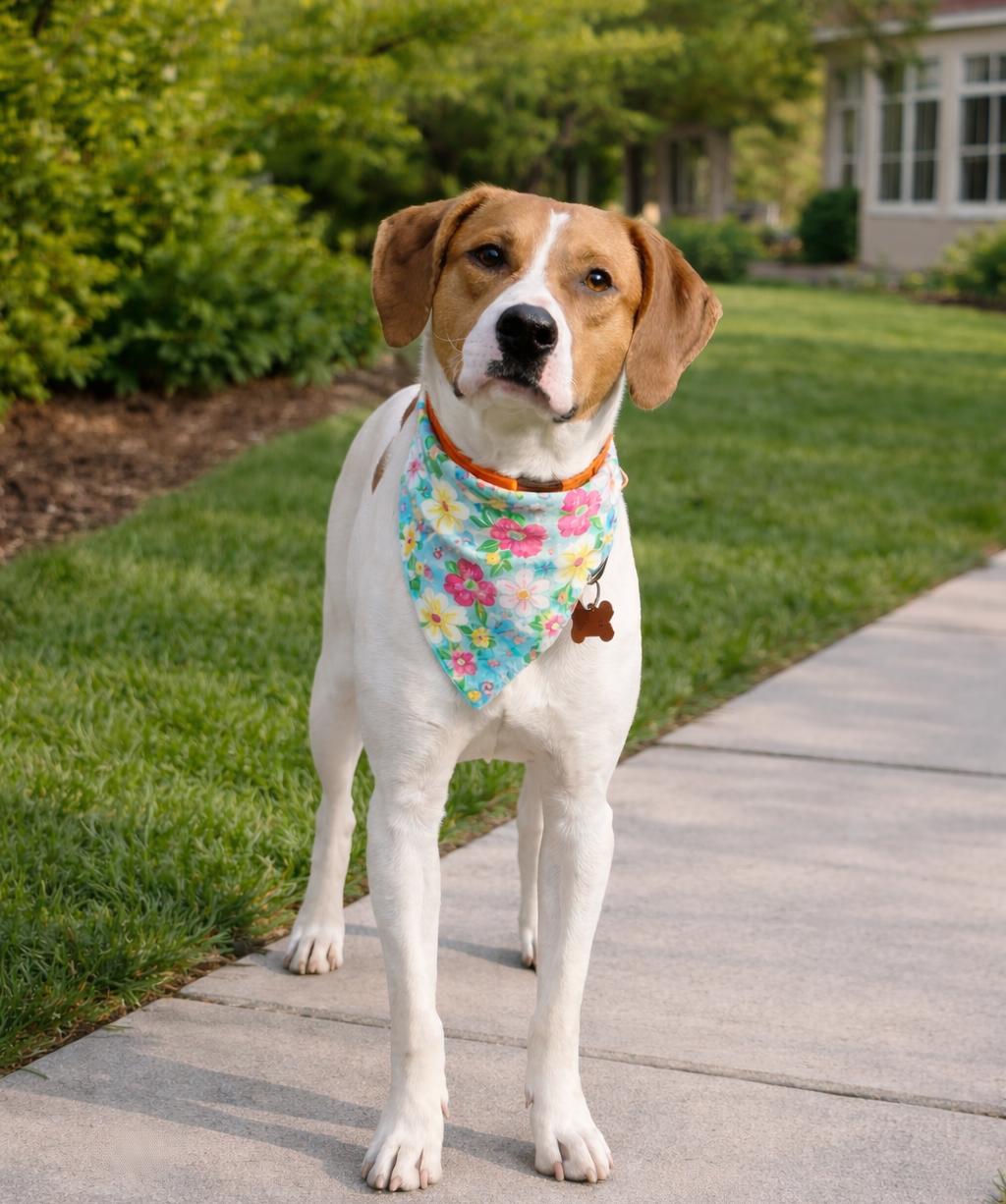 Tod PUPS FOR PAROLE GRADUATE — thumbnail 5