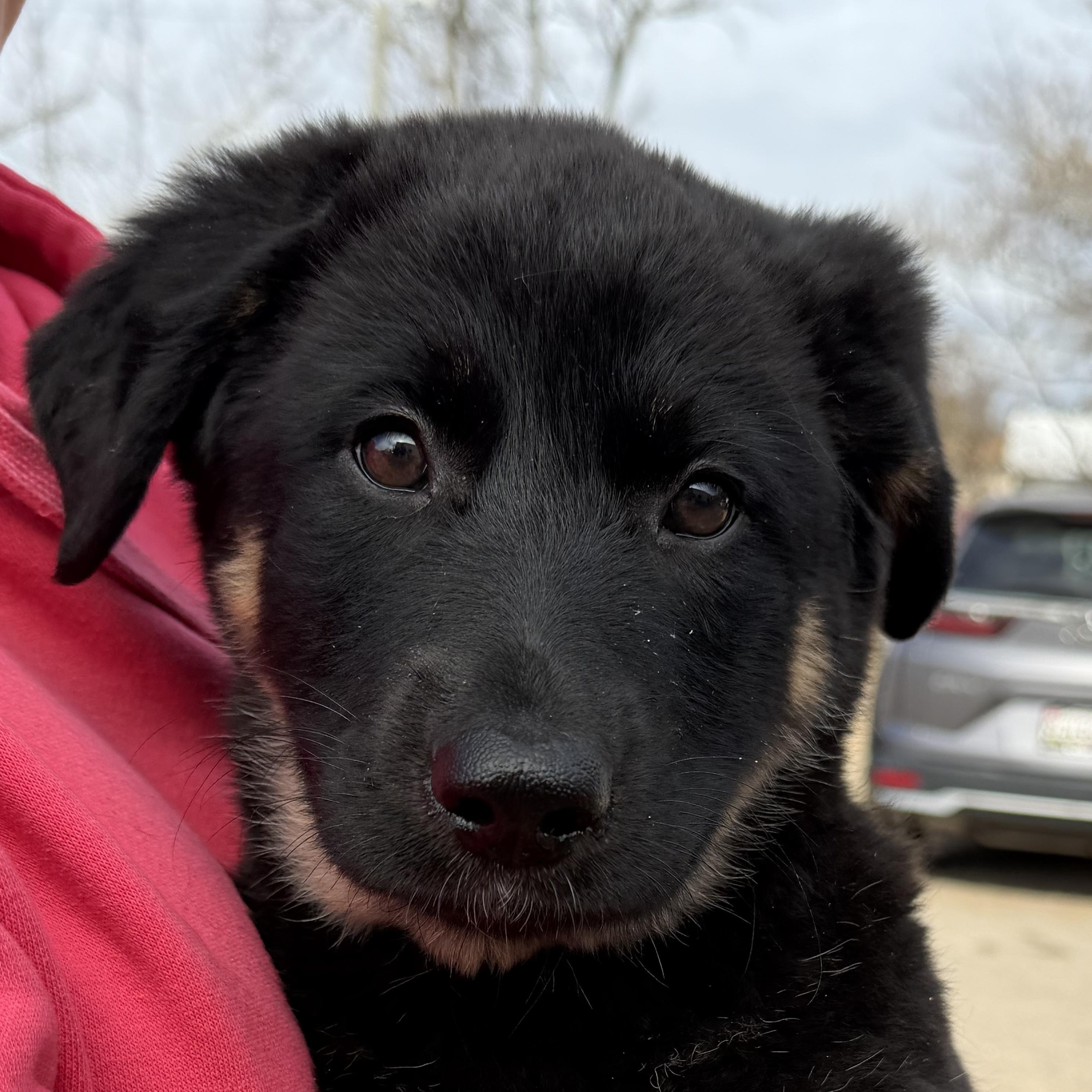 Power Outage — thumbnail 2