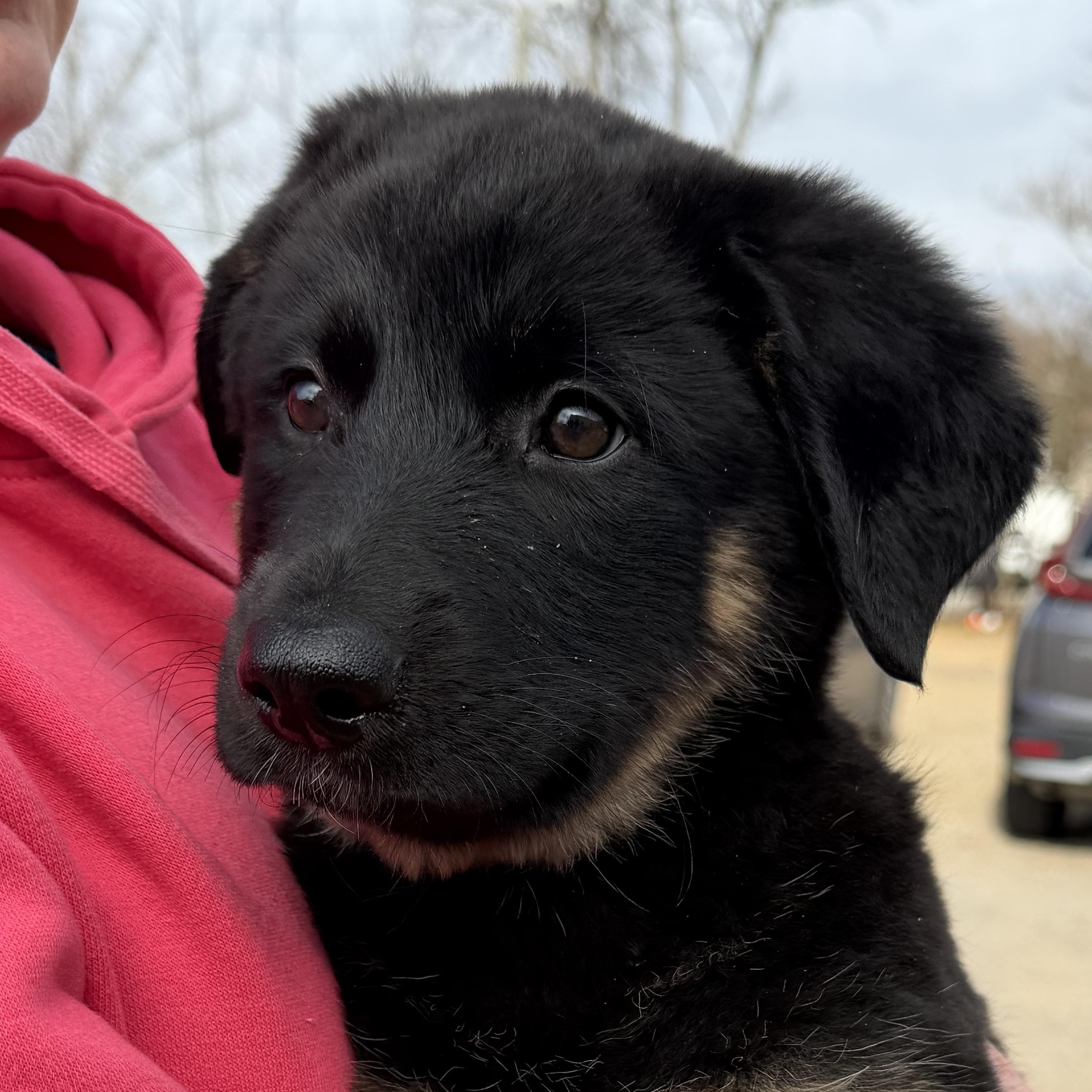 Power Outage — thumbnail 4