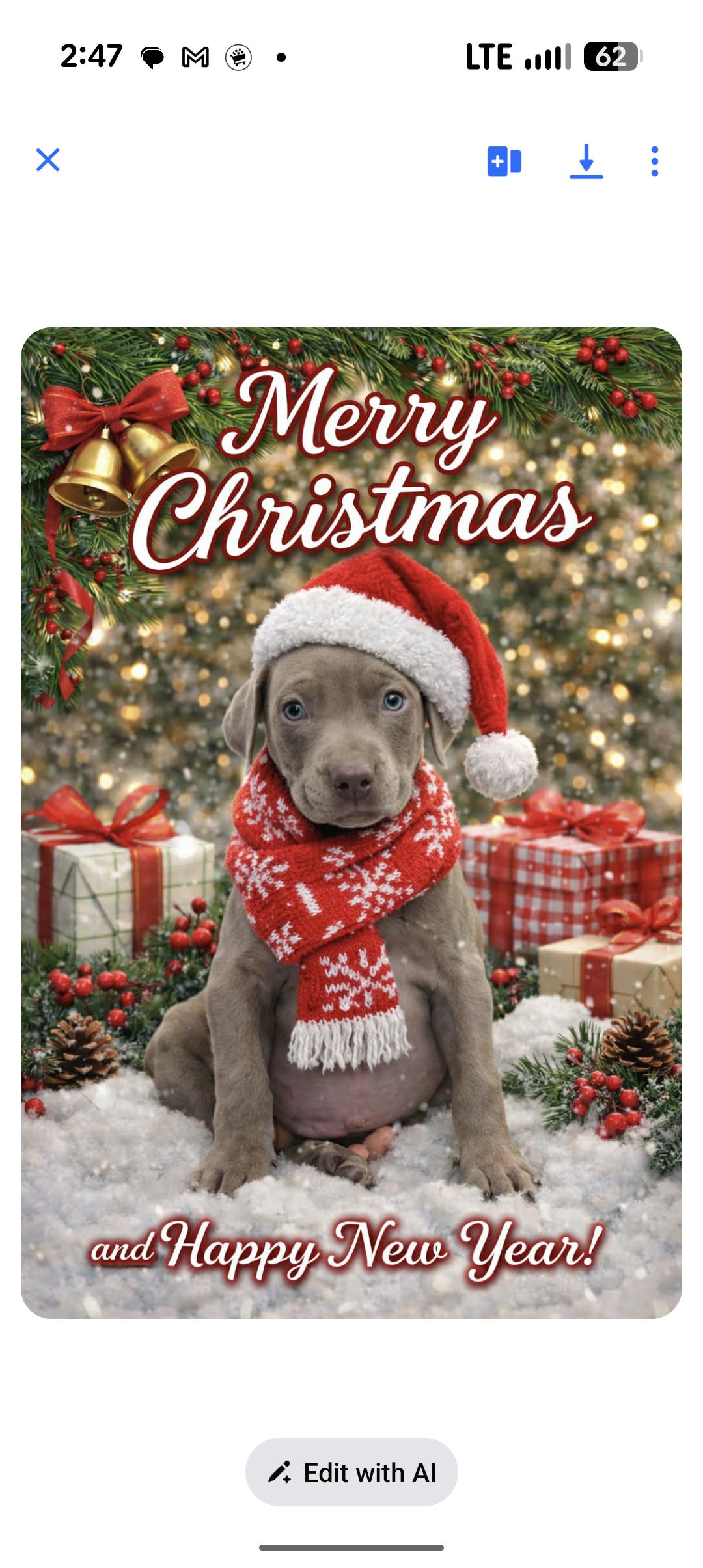 Enlarge CANE , an adopted mixed breed in Browns Mills, NJ image 3/3