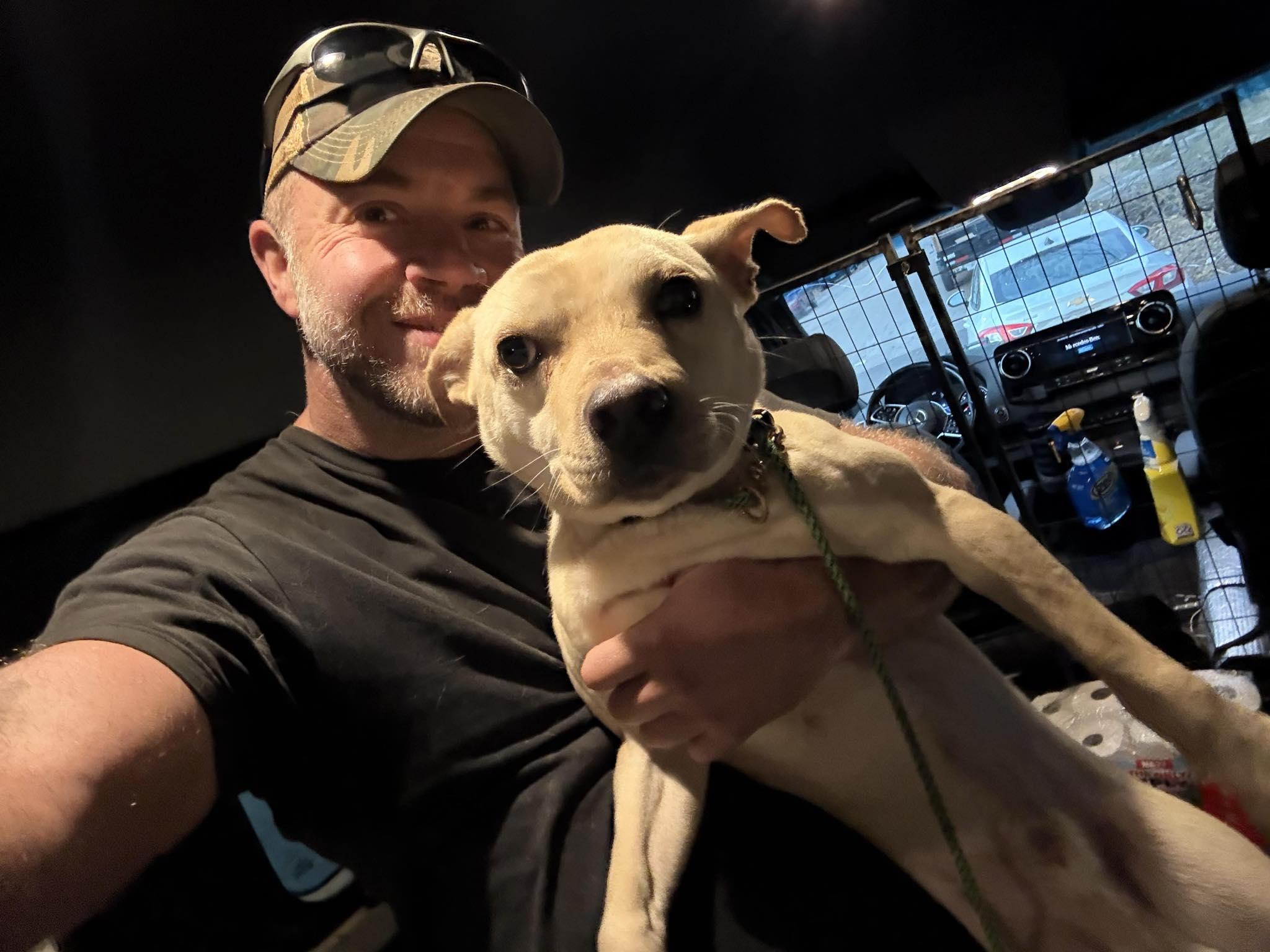 Enlarge Paco, a ADOPTABLE Mixed Breed in O Fallon, IL image 2/2