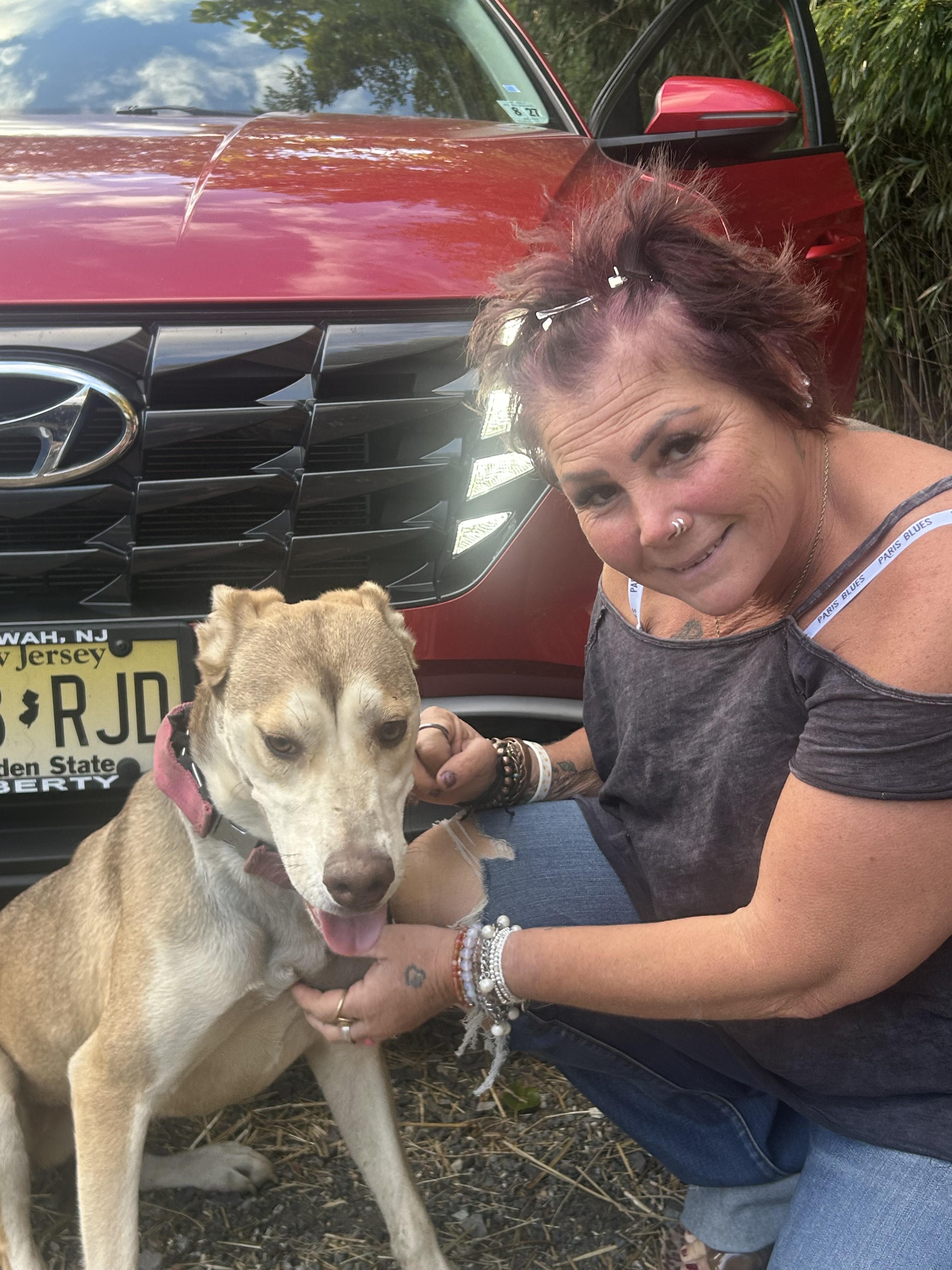 Sweet Loka Girl, a Adoptable mixed breed in Egg Harbor City, NJ image 3/5