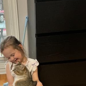 Pedro (m) 3yrs tabby/white, an adopted Domestic Short Hair in Ottawa, ON image 2/6