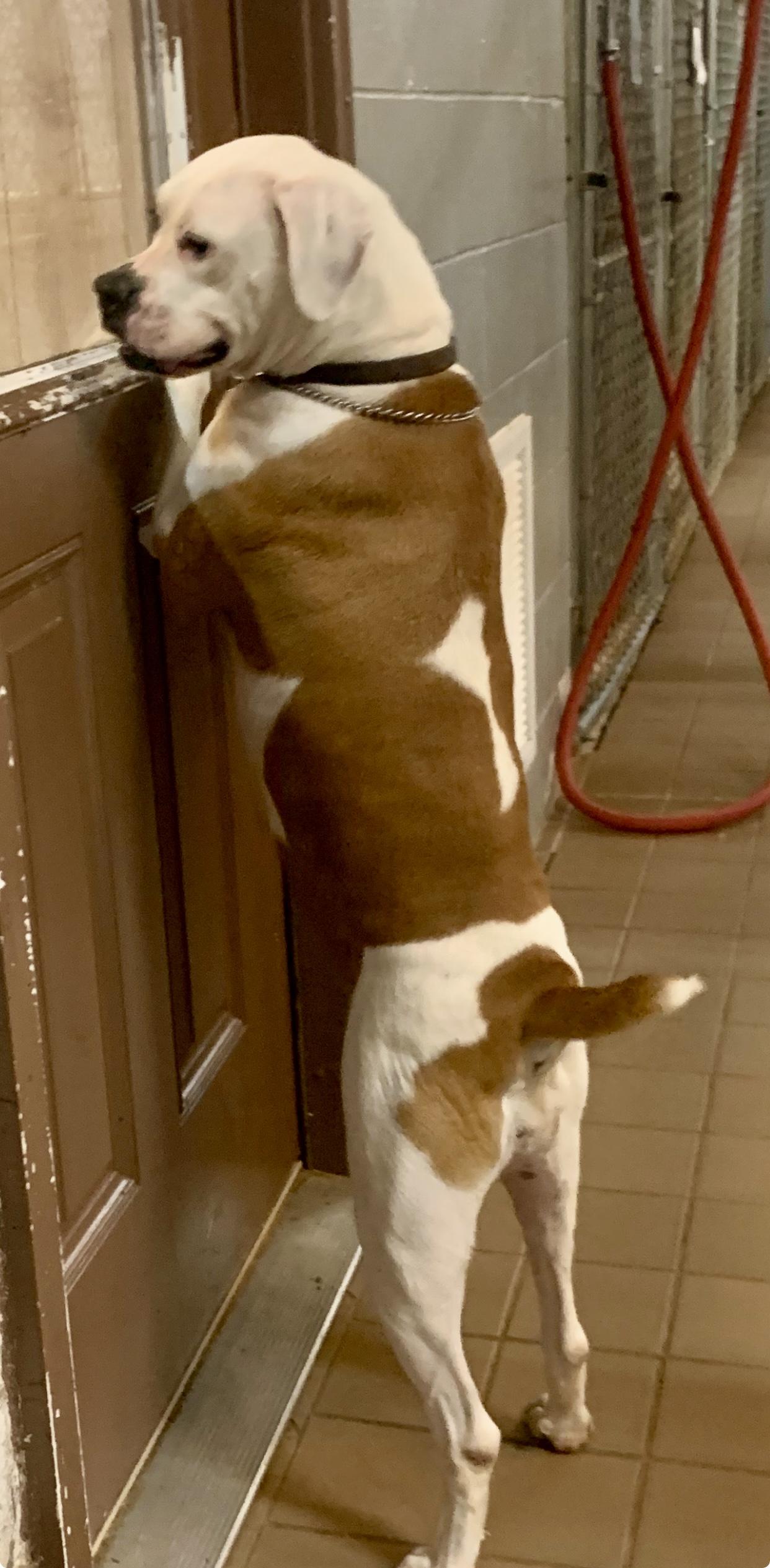 Henrietta & Daisy thumbnail 2