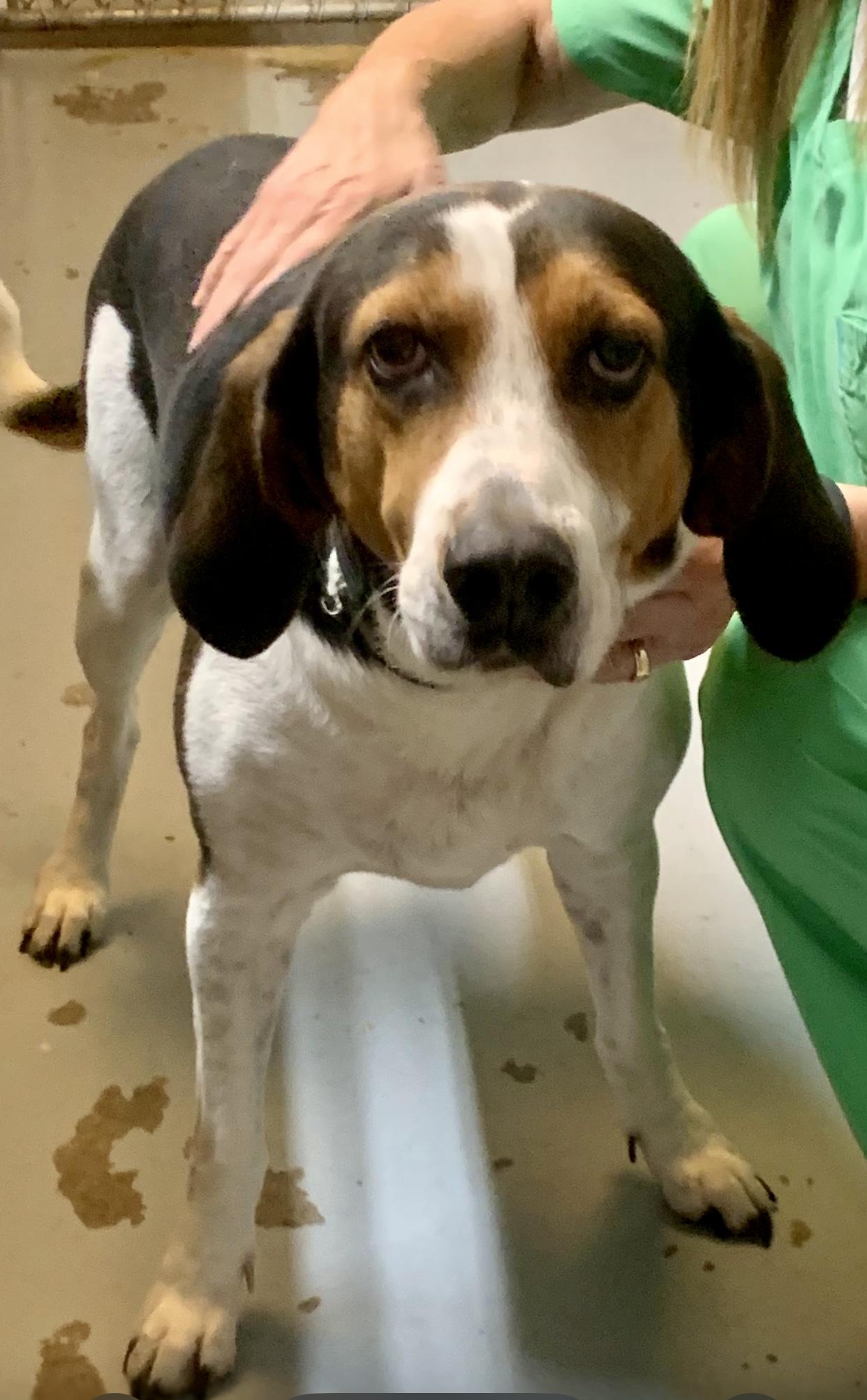 Henrietta & Daisy thumbnail 3