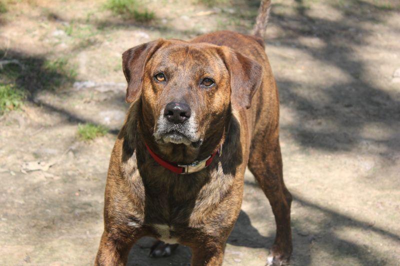 Henry Lee thumbnail 6