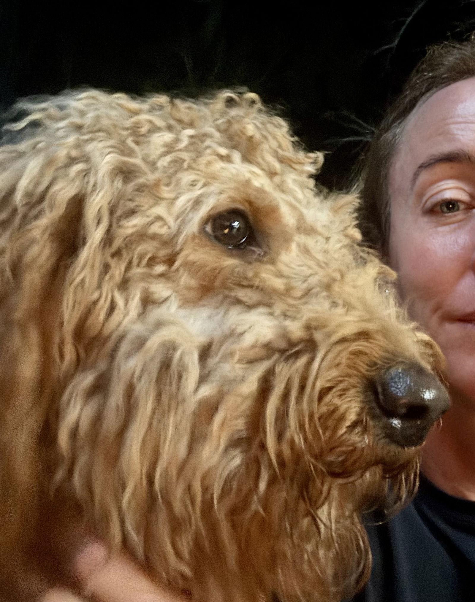 Enlarge Moo, a Adopted mixed breed in Montgomery, TX image 3/3