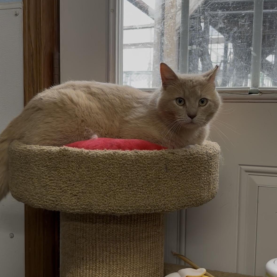 Jasper photo 4