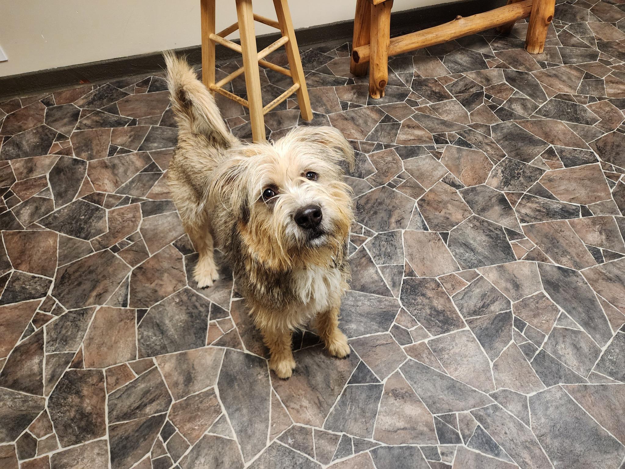 Peppermint Butler — thumbnail 6