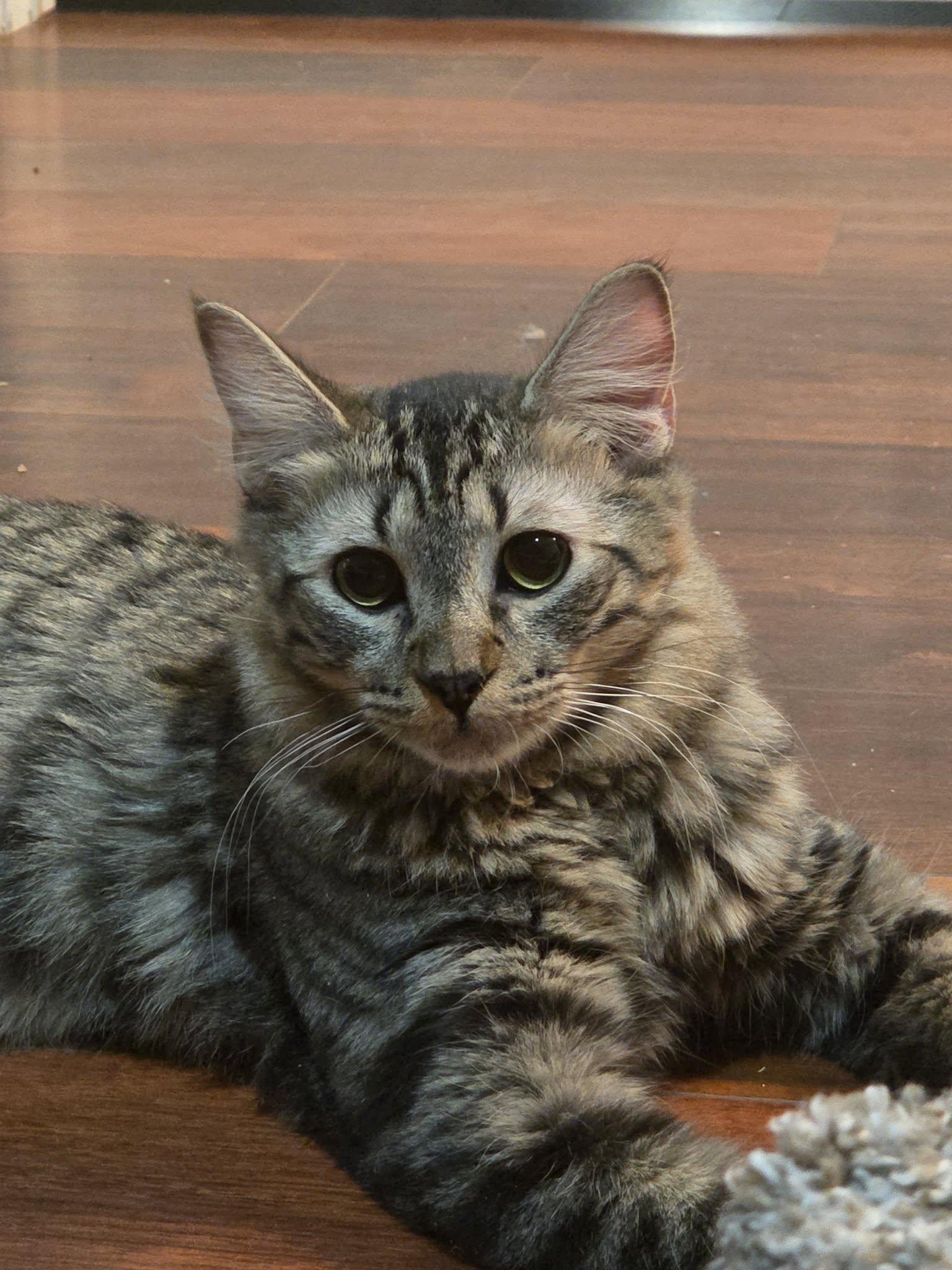 Otis