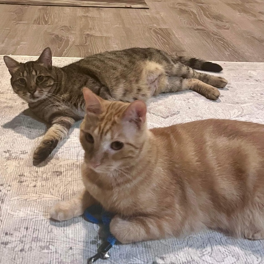 Oscar & Tarzan