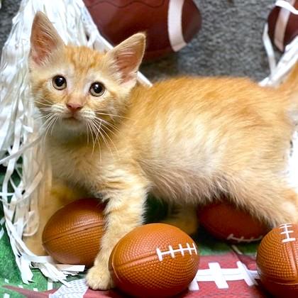 PEACHES - THE SWEETEST!