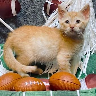 PEACHES - THE SWEETEST!