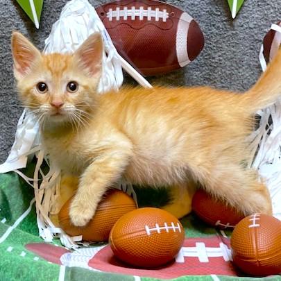 PEACHES - THE SWEETEST!
