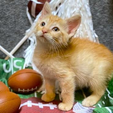 PEACHES - THE SWEETEST!