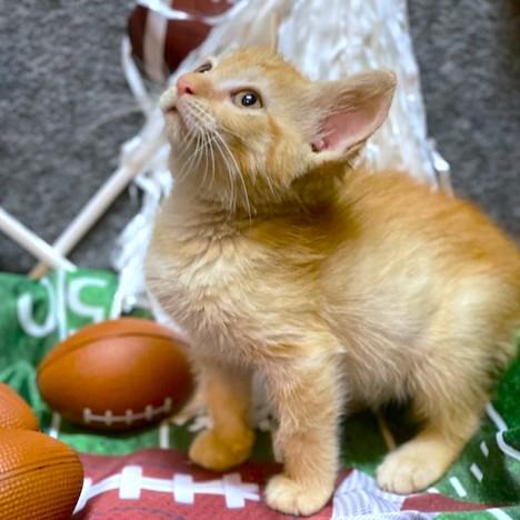PEACHES - THE SWEETEST!