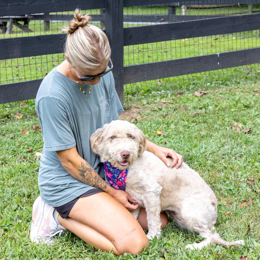 Lucy (Female) Available 8/23 Bonded pair with Maisy (her mother)