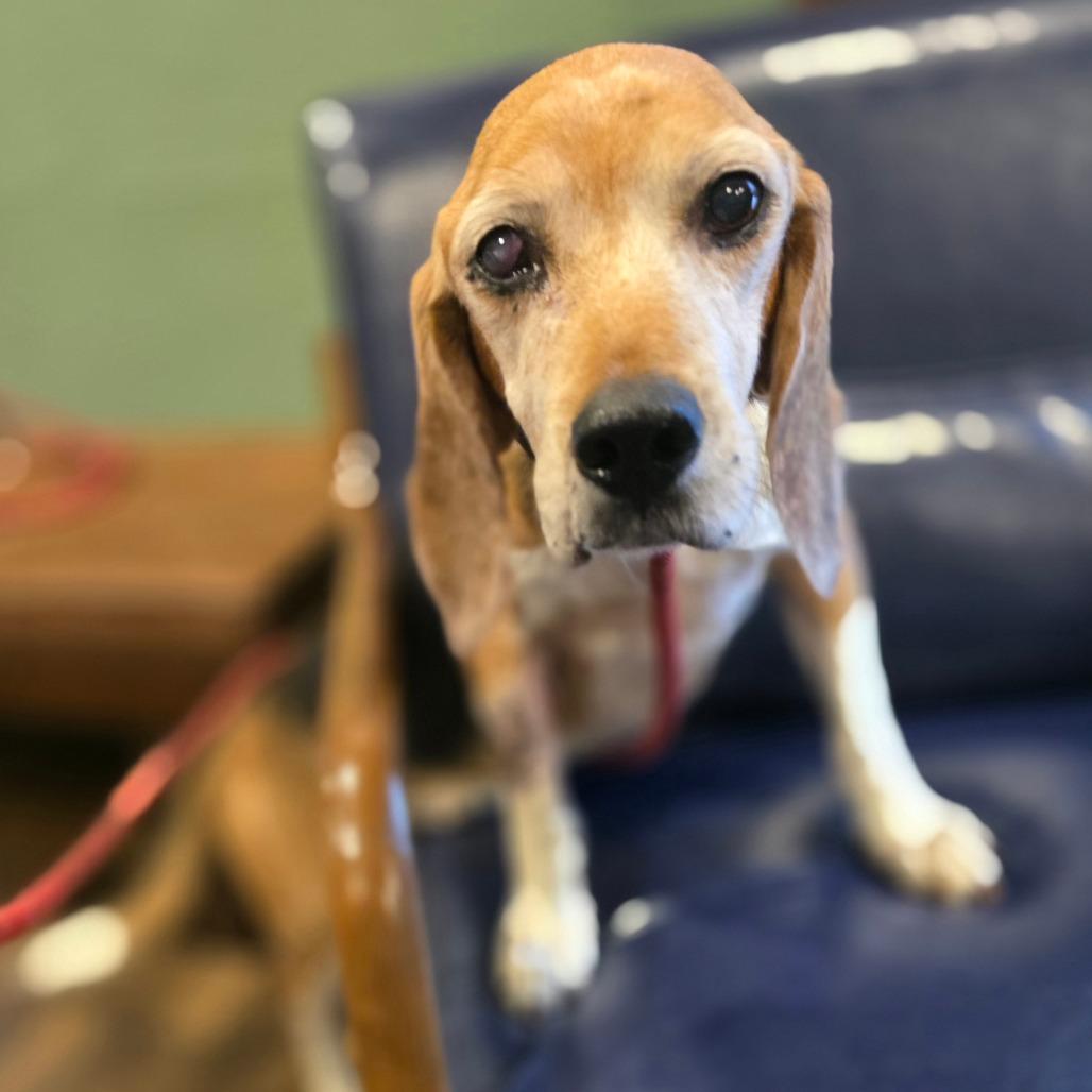 Pilgrim — thumbnail 2