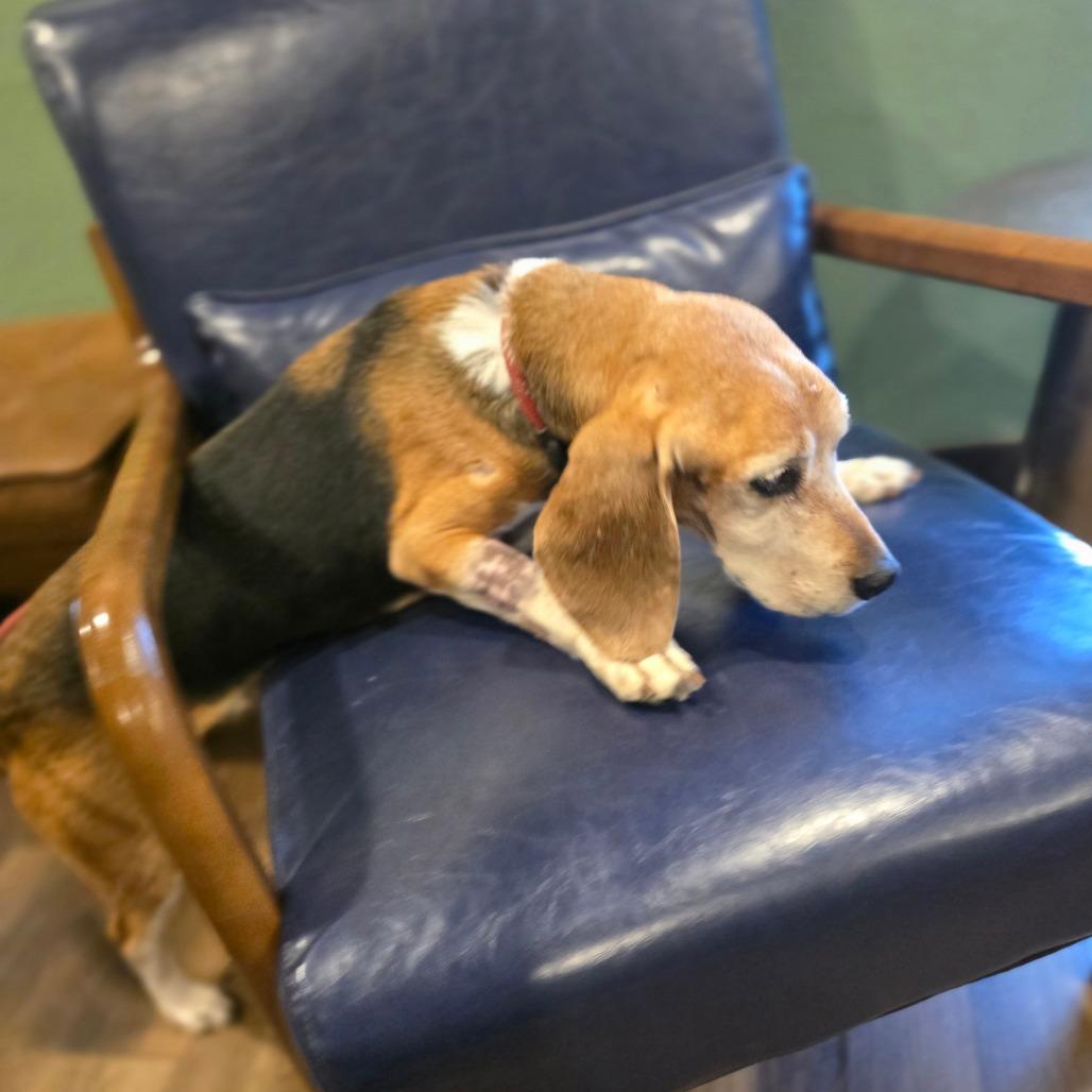 Pilgrim — thumbnail 5